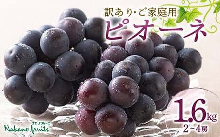[仲野観光果樹園][2025年先行予約]ご家庭用 山形県産 種無し ぶどう ピオーネ 約1.6kg(2~4房) 2025年8月下旬から順次発送