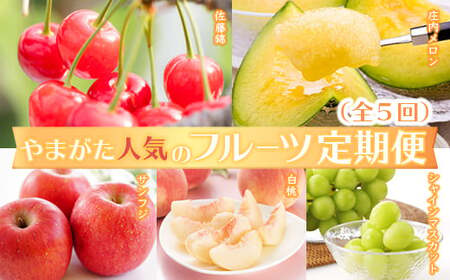 [2026年発送先行予約]やまがた人気のフルーツ定期便(全5回)