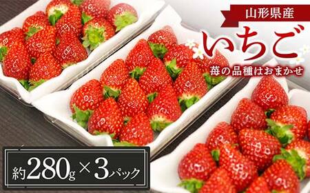 R`Y  (䕂̕i͂܂) 280g×3pbNy1{珇z FSY-1227