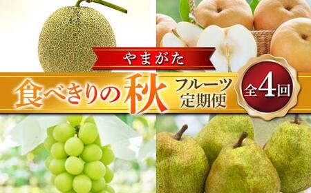 ≪2026年先行予約≫ 全4回 やまがた 食べきりの秋フルーツ定期便