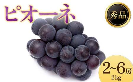 s2025NsttԂǂusI[lv Gi 2`6[(2kg)  Ԃǂ uhE  fU[g t[c ʕ  ʎ Hi R` FSY-1221