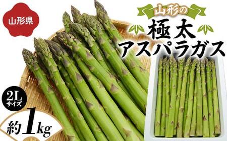 [先行予約 2026年度発送]山形の極太アスパラガス 約1kg(2Lサイズ)