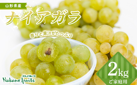 ≪2026年先行予約≫[仲野観光果樹園]ご家庭用 山形県産 ナイアガラ 2kg(6〜13房) 種あり ぶどう 2026年9月上旬から順次発送