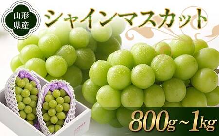 《先行予約 2025年度発送》シャインマスカット 800g～1kg マスカット ぶどう ブドウ 葡萄 デザート フルーツ 果物 くだもの 果実 食品 山形県 FSY-1859