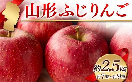 [2025年度発送]山形ふじりんご 約2.5kg 約7玉〜約9玉 りんご リンゴ 林檎 デザート フルーツ 果物 くだもの 果実 食品 山形県