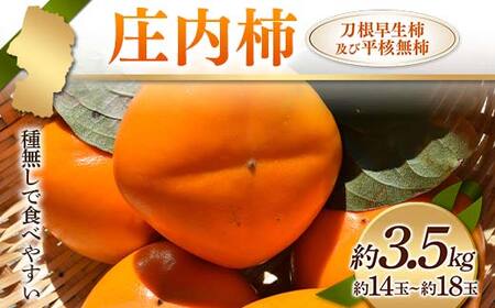 ss\ 2025Nxt` 햳ŐHׂ₷ `yѕj` 3.5kg 14`18 `  fU[g t[c ʕ  ʎ Hi R` FSY-1236