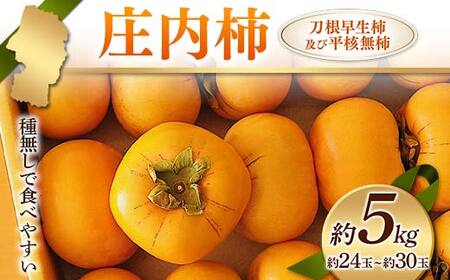 《先行予約 2025年度発送》庄内柿 種無しで食べやすい 刀根早生柿及び平核無柿 約5kg 約24玉～約30玉 柿 かき デザート フルーツ 果物 くだもの 果実 食品 山形県 FSY-1914