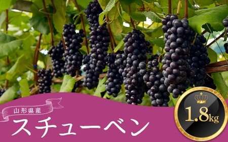 ≪先行予約2026年9月上旬頃～10月下旬頃発送≫山形県産スチューベン 1.8kg ぶどう ブドウ 葡萄 デザート フルーツ 果物 くだもの 果実 食品 山形県 FSY-1345