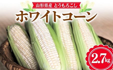 ≪2026年先行予約≫[お天道農園]山形県産 とうもろこし ホワイトコーン ピュアホワイト 2.7kg(7〜9本) 2026年7月下旬から順次発送
