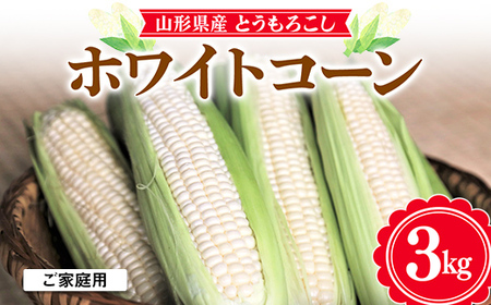 ≪2026年先行予約≫[お天道農園]ご家庭用 山形県産 とうもろこし ホワイトコーン ピュアホワイト 3kg 2026年7月下旬から順次発送