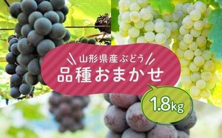 ≪先行予約2026年9月上旬頃〜10月下旬頃発送≫山形県産ぶどう 品種おまかせ 1.8kg ぶどう ブドウ 葡萄 デザート フルーツ 果物 くだもの 果実 食品 山形県