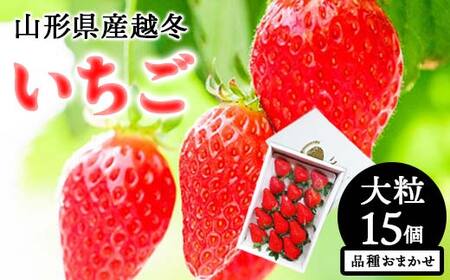 [令和7年12月上旬発送開始]山形県産 越冬いちご 大粒15個 品種おまかせ いちご イチゴ 苺 デザート フルーツ 果物 くだもの 果実 食品 山形県