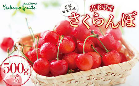 �y����ό��ʎ����z��2026�N��s�\��� ���ƒ�p �R�`���Y �i�킨�܂��� �������� �G�i L�ȏ� 500g �o���p�b�N�l�� 2026�N6�����{���珇������ F2Y-5463