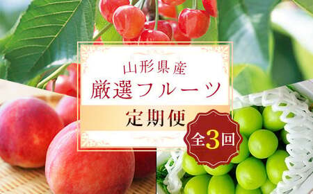 《先行予約 2025年5月発送開始》 山形県の至高！ 山形県厳選 フルーツ定期便 全3回 FSY-1813