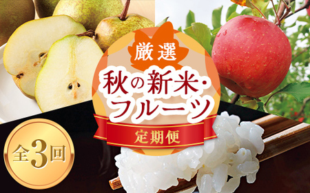 [先行予約 2025年10月発送開始]山形県の至高! 山形県厳選 秋の新米・フルーツ定期便B 全3回 つや姫 米 お米 ブランド米 銘柄米 備蓄 日本米 コメ ごはん ご飯 食品 山形県