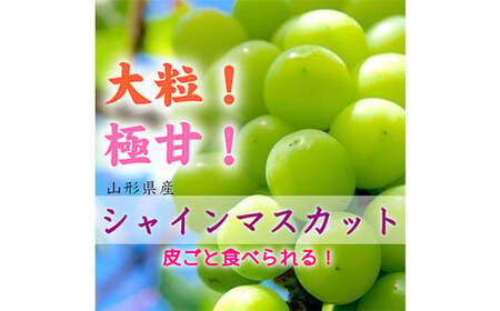 [先行受付 2025年]山形県産 大房大粒シャインマスカット 約700g〜800g マスカット ぶどう ブドウ 葡萄 デザート フルーツ 果物 くだもの 果実 食品 山形県