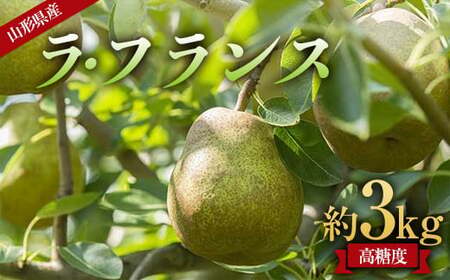 [先行予約 2025年度発送]山形県産 高糖度 ラ・フランス 約3kg(6〜10玉) なし ナシ 梨 デザート フルーツ 果物 くだもの 果実 食品 山形県