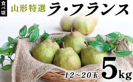 【先行受付（令和8年度発送）】食べ頃 山形特選ラ・フランス5kg FSY-2032