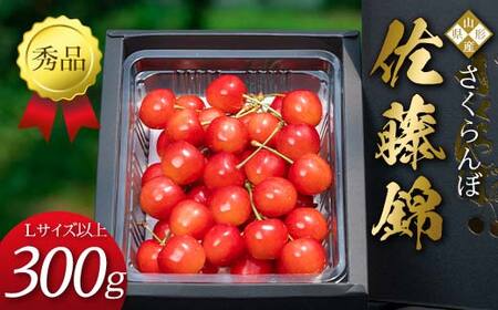 [先行受付(令和7年度発送)] 2025年産 さくらんぼ「佐藤錦」300g 秀品 Lサイズ以上 山形県産