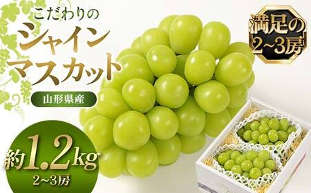 ys\i2026N9菇jzy2`3[z̃VC}XJbg 1.2kg R`Y FSY-2535