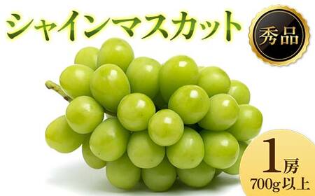 [2025年先行受付]ぶどう「シャインマスカット」 秀品 1房(700g以上) マスカット ぶどう ブドウ 葡萄 デザート フルーツ 果物 くだもの 果実 食品 山形県