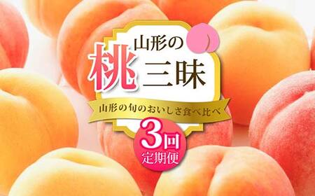 《2025年 先行予約》 山形の旬のおいしさ食べ比べ 山形の桃三昧 3回定期便 桃 果物 フルーツ  FSY-2049