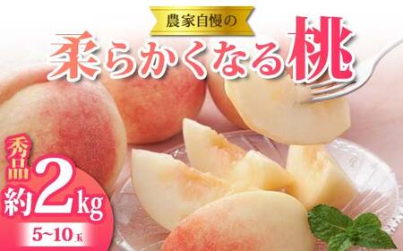 《2025年 先行予約》 農家自慢の柔らかくなる桃 約2kg(5～10玉) 果物 フルーツ  FSY-2052