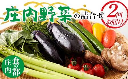 [2025年度発送先行予約] 庄内野菜の詰合せ 定期便(2回お届け)