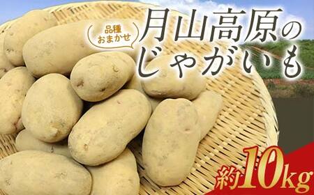 月山高原のじゃがいも 約10kg