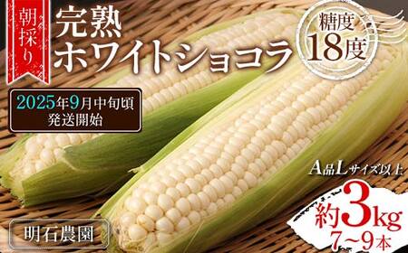 [朝採り] 完熟ホワイトショコラ 明石農園 糖度18度 約3kg とうもろこし 山形県産 A品 Lサイズ以上 [先行予約2025年度9月中旬頃発送開始] とうきび トウキビ トウモロコシ コーン 野菜 食品 山形県