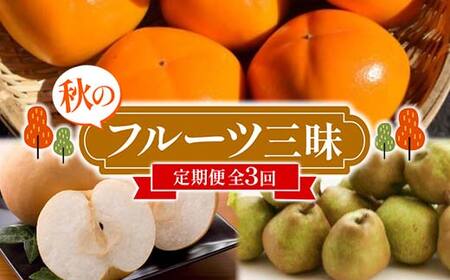 [2025年発送先行予約]秋のフルーツ三昧定期便3回お届け[令和7年度発送] なし ナシ 梨 デザート フルーツ 果物 くだもの 果実 食品 山形県