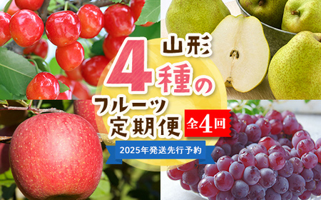 [2025年度 先行予約]4種のフルーツ定期便 全4回 さくらんぼ ぶどう 梨 りんご 果物 フルーツ