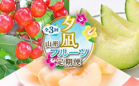 [2026年度 先行予約]夕凪フルーツ定期便 全3回 さくらんぼ メロン 桃 果物 フルーツ