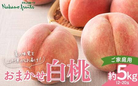 [仲野観光果樹園]≪2025年先行予約≫ご家庭用 山形県産 おまかせ 白桃 約5kg(12〜20玉) 2025年8月上旬から順次発送