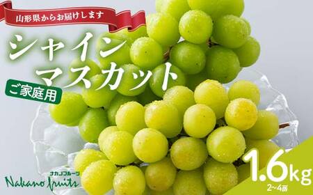 ≪2026年先行予約≫[仲野観光果樹園]ご家庭用 山形県 シャインマスカット1.6kg(2〜4房) 種無し ぶどう 2026年9月上旬から順次発送