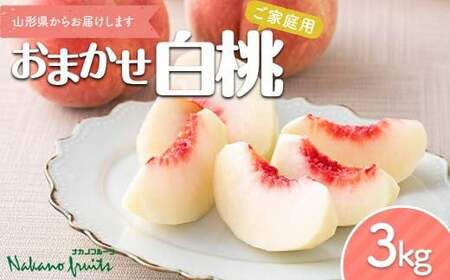 ≪2026年先行予約≫[仲野観光果樹園]ご家庭用 山形県産 おまかせ 白桃 3kg(6〜12玉) 2026年8月上旬から順次発送