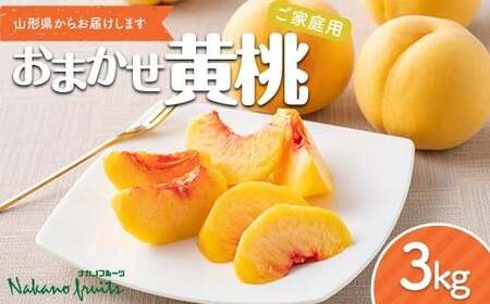 ≪2026年先行予約≫[仲野観光果樹園]ご家庭用 山形県産 おまかせ 黄桃 3kg(6〜12玉) 2026年8月上旬から順次発送
