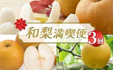 [2026年先行予約]和梨満喫便(全3回)