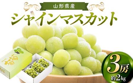 【先行予約 2026年度発送】山形県産 シャインマスカット 3房 約2kg マスカット ぶどう ブドウ 葡萄 デザート フルーツ 果物 くだもの 果実 食品 山形県 FSY-2185