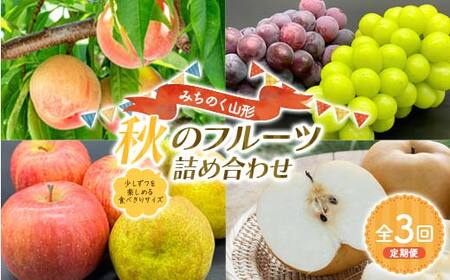 みちのく山形 1回に2品種お届け 秋のフルーツ詰め合わせ 少しずつを楽しめる食べきりサイズ定期便