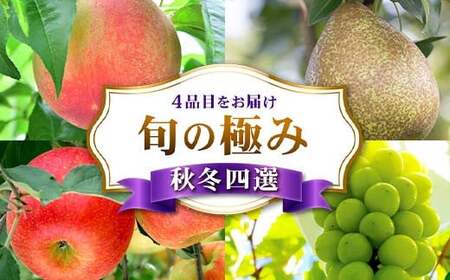 [2026年先行予約]旬の極み 秋冬四選 白桃 シャインマスカット ラ・フランス りんご