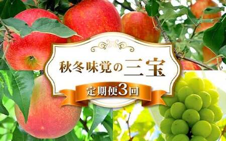 [2026年先行予約]秋冬味覚の三宝 白桃 シャインマスカット りんご