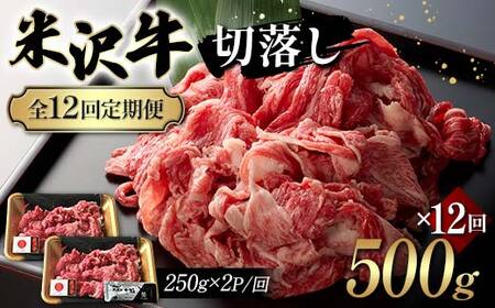 yS12ցzđ򋍐ؗ 500g×12 F2Y-6238
