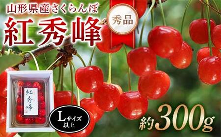 ߘa8NYystzR`YځgG Gi300g LTCYȏ FSY-2274