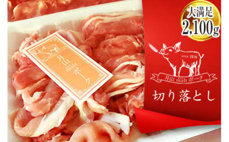 Rmalt |[N ؐ؂藎Ƃ 2.1s F2Y-4449