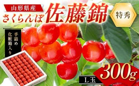   300g L G l߃Mtg R`Y ϔ yߘa8Nx s\z FSY-2263