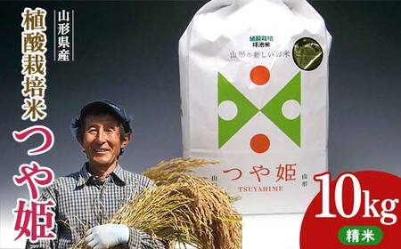 A_͔|ĂPiāj10kg F2Y-4410