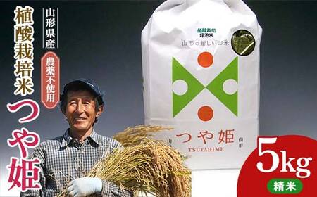 A_͔|ĂPi_F͔|Ԓsgpjiāj5kg F2Y-4411