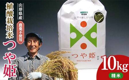 A_͔|ĂPi_F͔|Ԓsgpjiāj10kg F2Y-4412