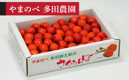 �y�ߘa8�N�Y�z �g�G�� �o���l 700g ��܂̂ב��c�k���Y�̂������� F2Y-4567